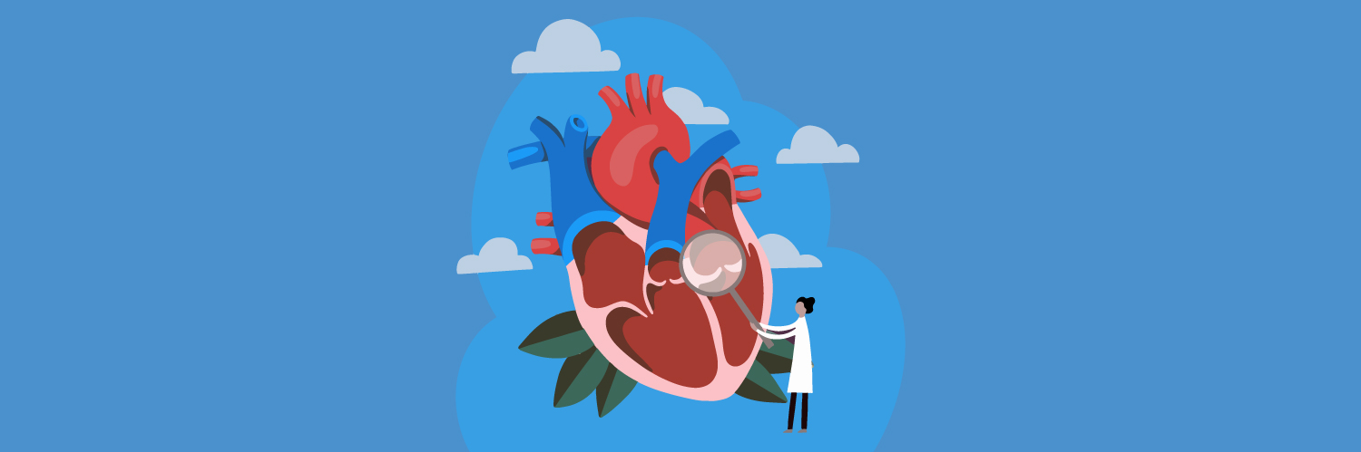 Kaip ir dėl kokių priežasčių vystosi širdies vožtuvų ydos?